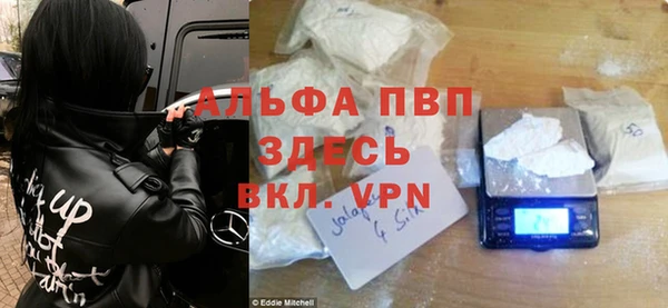 ГАЛЛЮЦИНОГЕННЫЕ ГРИБЫ Сураж