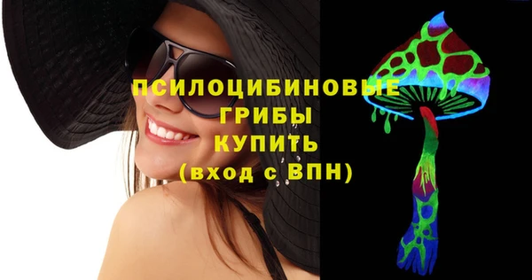 мдпв Медвежьегорск