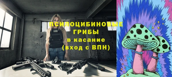 мдпв Медвежьегорск