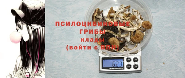 а пвп мука Мегион