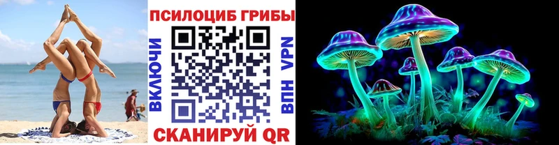 Галлюциногенные грибы Cubensis  MEGA как зайти  Черкесск 