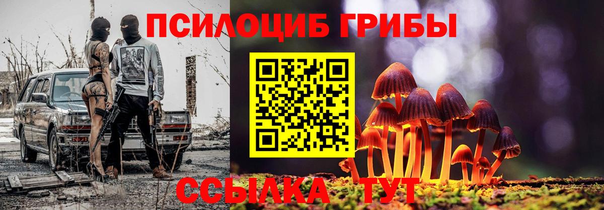 Галлюциногенные грибы прущие грибы Черкесск