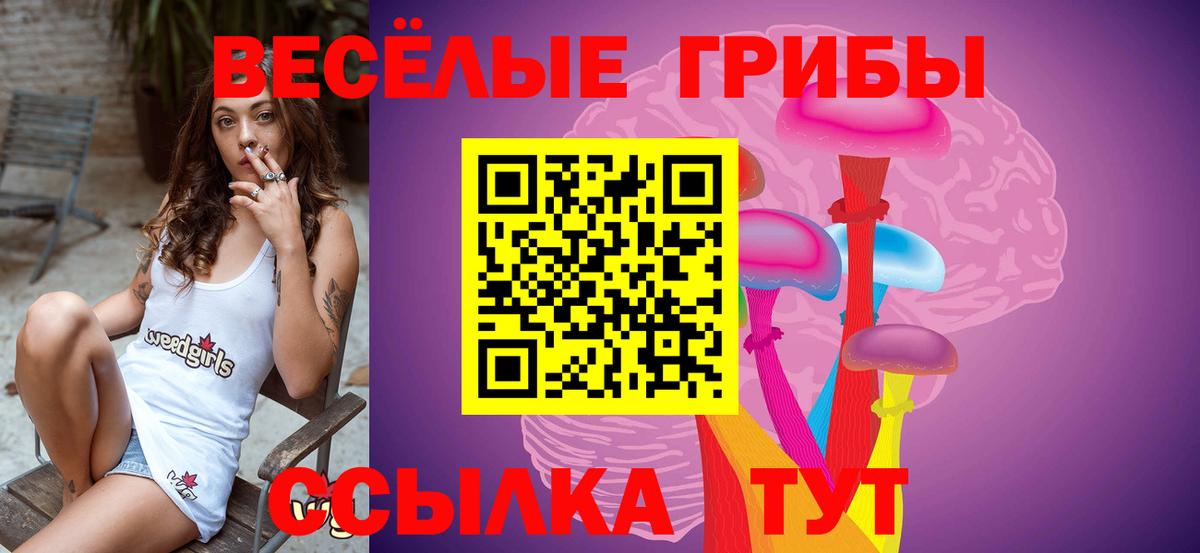 даркнет сайт  Вход с VPN  Псилоцибиновые грибы Cubensis  Черкесск  Псилоцибиновые грибы Psilocybe 